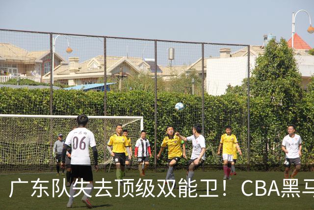 广东队失去顶级双能卫！CBA黑马意外捡漏，朱芳雨面临惨痛亏损